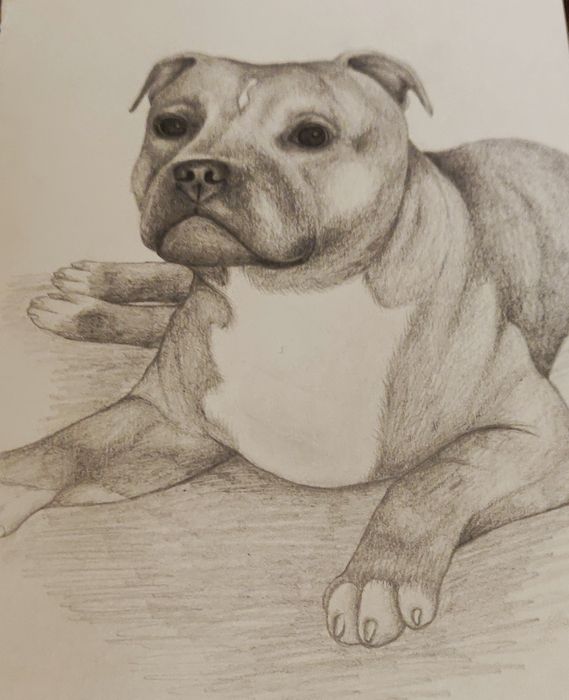Potloodtekening van Gizmo